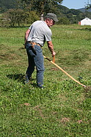Logo Sensen, dengeln und wetzen - nachhaltig mähen mit der Sense