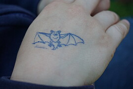 Banner Fledermausnacht