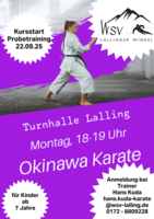 Logo Okinawa Karate