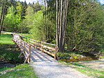Logo Waldbaden im Park – Energie tanken bei einem Frühlingswaldbad